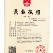 上海技術(shù)咨詢(xún) 賦能企業(yè)創(chuàng)新發(fā)展的智慧引擎