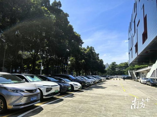 廣東省博物館回應車庫禁停新能源車 基于消防安全要求，非歧視性政策